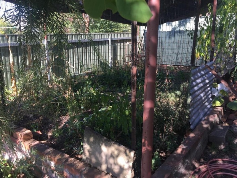 58 Sydney Street, Tumut NSW 2720