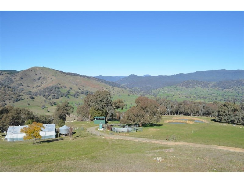 305 Argalong Road, Tumut NSW 2720