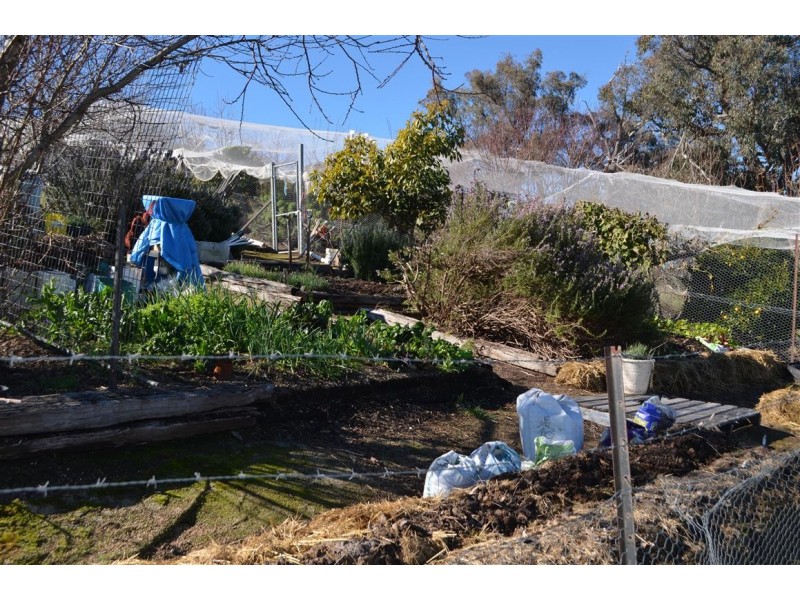 305 Argalong Road, Tumut NSW 2720