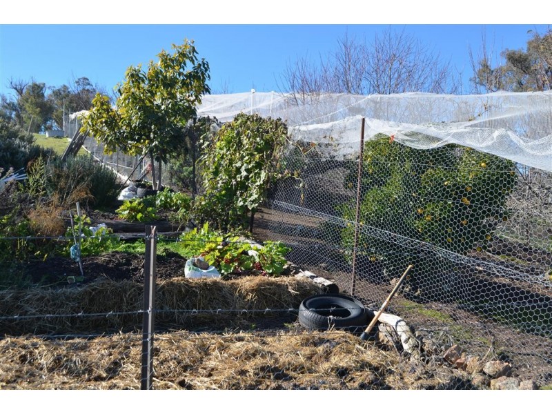 305 Argalong Road, Tumut NSW 2720