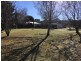 64 Boggamilla Road, Batlow NSW 2730