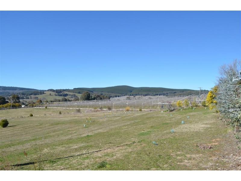 37 Corralyn Avenue, Batlow NSW 2730