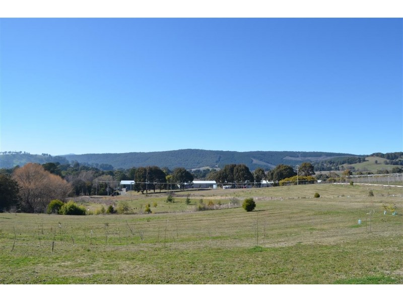 37 Corralyn Avenue, Batlow NSW 2730