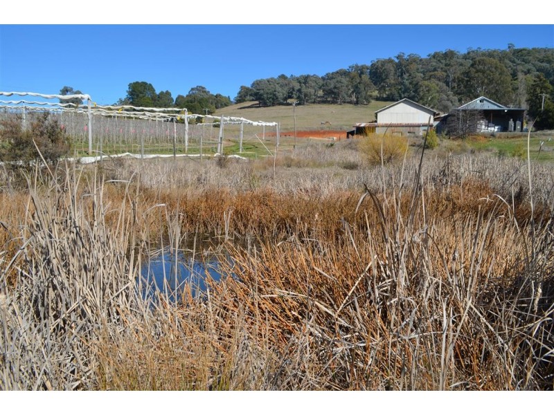 37 Corralyn Avenue, Batlow NSW 2730