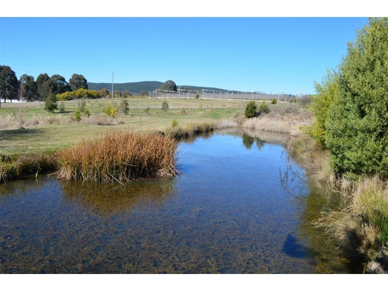 37 Corralyn Avenue, Batlow NSW 2730