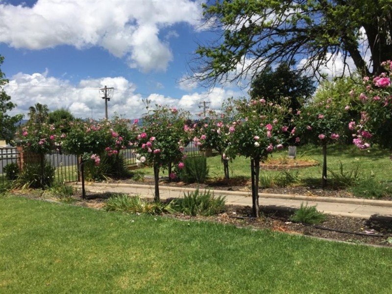 141 Simpson Street, Tumut NSW 2720