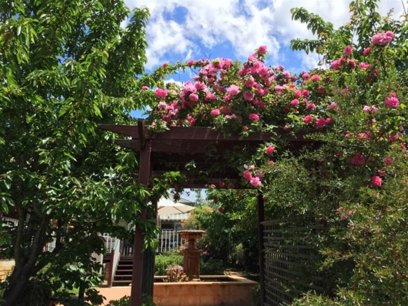 141 Simpson Street, Tumut NSW 2720