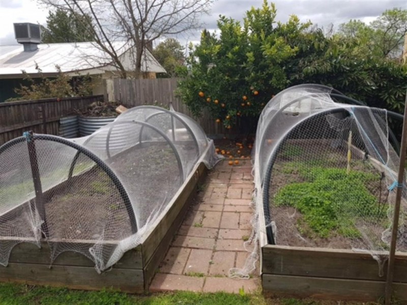 119 Broughton Street, Tumut NSW 2720