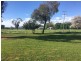 97 Bombowlee Avenue, Tumut NSW 2720