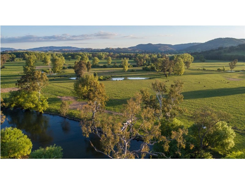 194 Quidong Road, Tumut NSW 2720