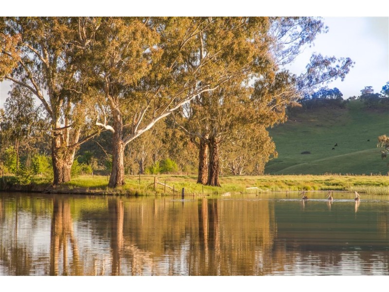 194 Quidong Road, Tumut NSW 2720