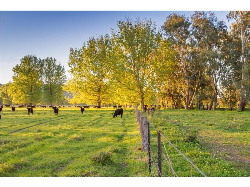 194 Quidong Road, Tumut NSW 2720