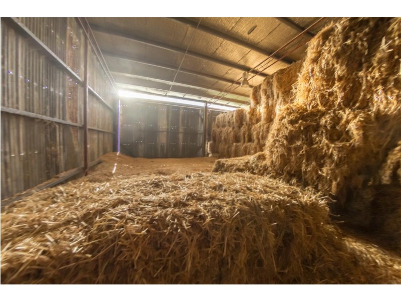 194 Quidong Road, Tumut NSW 2720