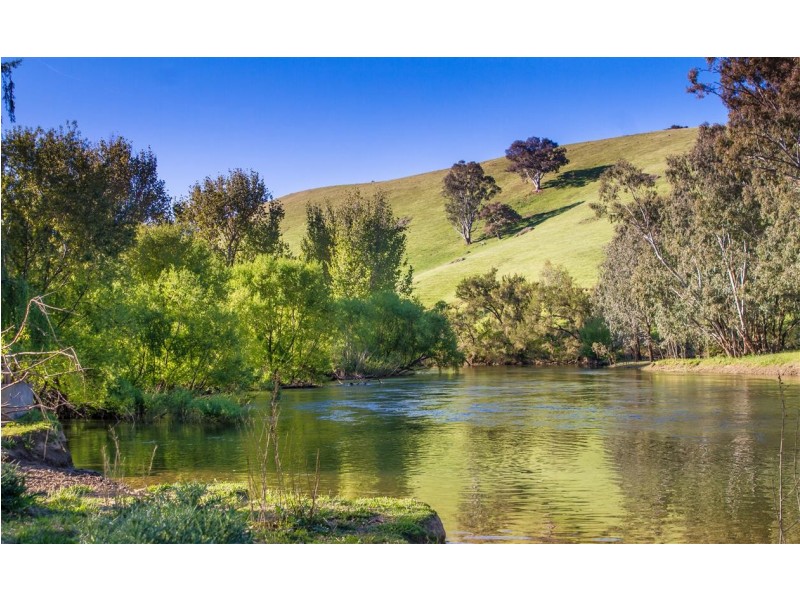 194 Quidong Road, Tumut NSW 2720