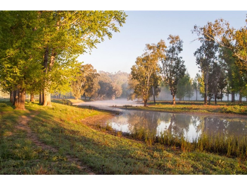 194 Quidong Road, Tumut NSW 2720