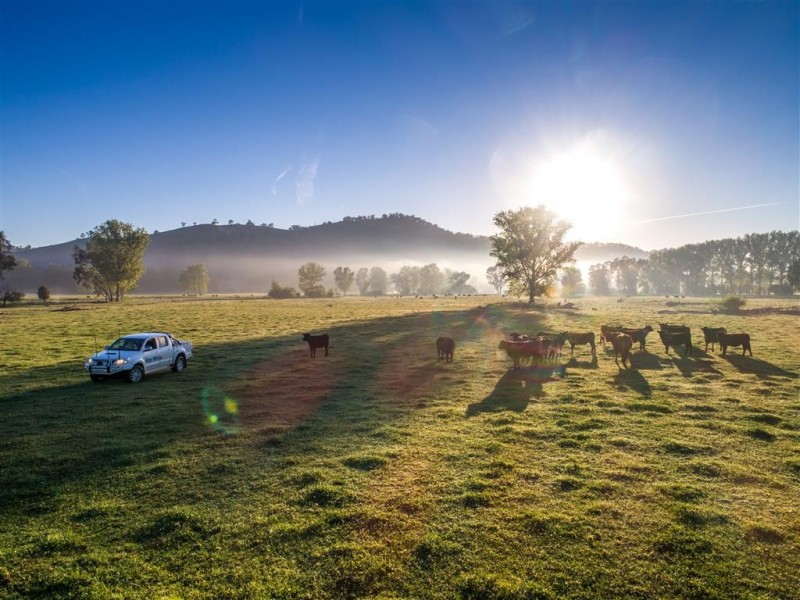 194 Quidong Road, Tumut NSW 2720