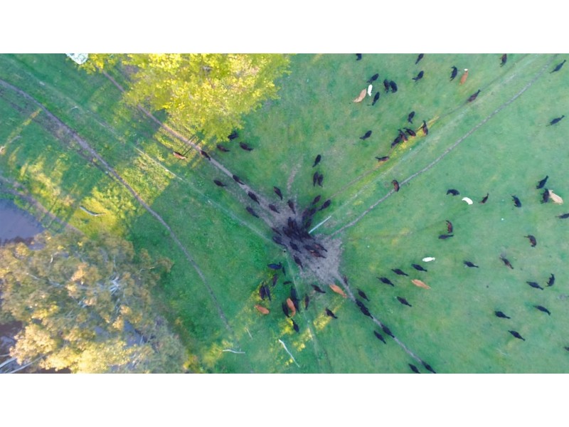 194 Quidong Road, Tumut NSW 2720