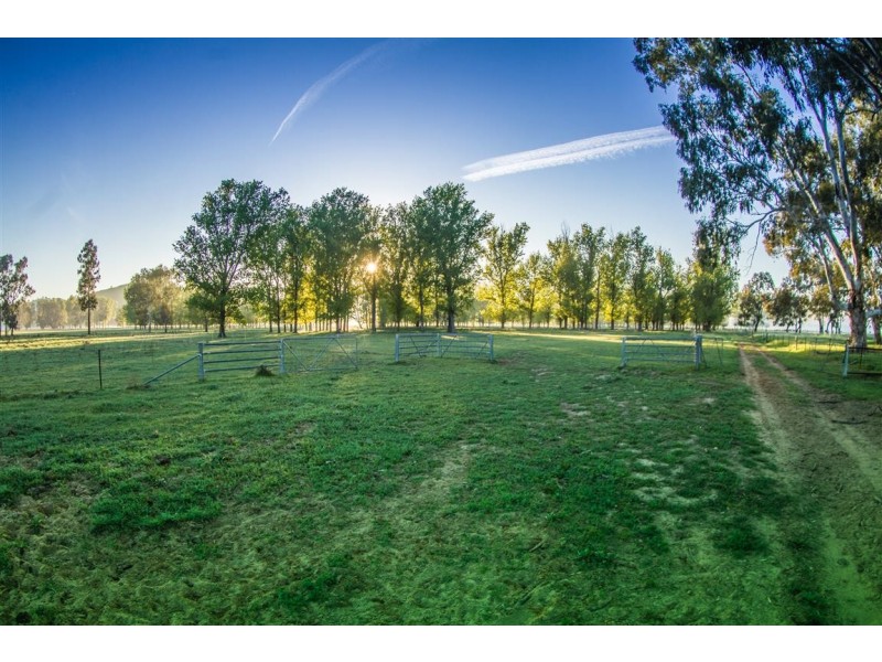 194 Quidong Road, Tumut NSW 2720