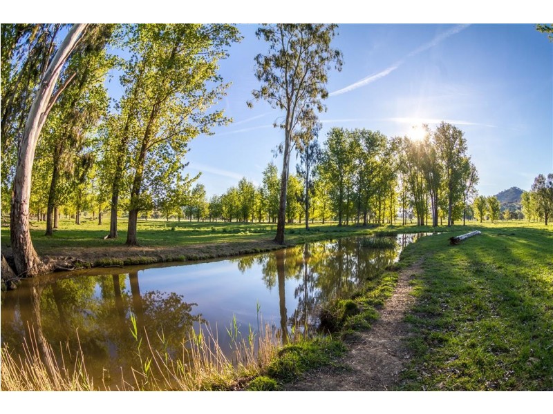 194 Quidong Road, Tumut NSW 2720