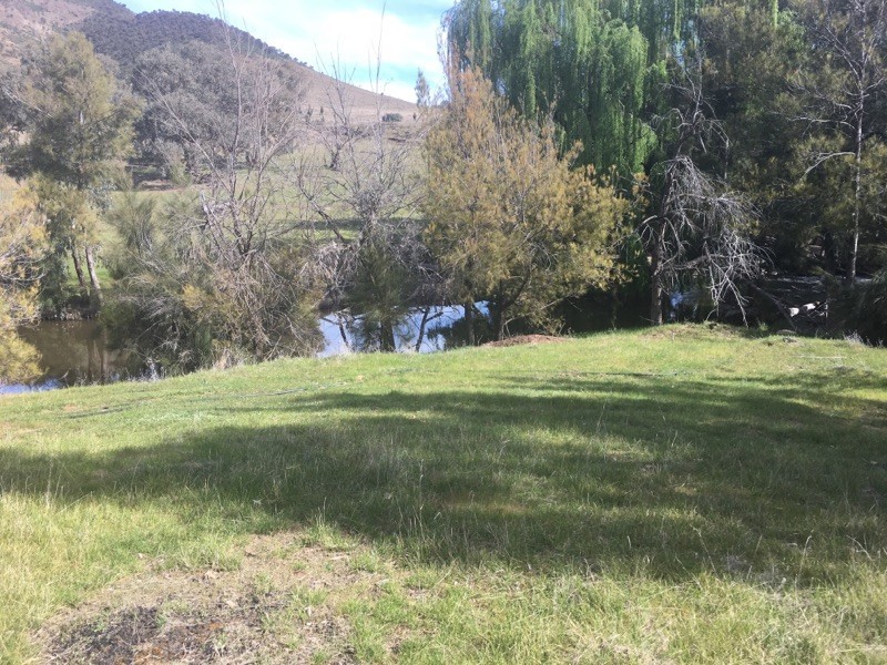 368 Kangaroo Mount Road, Coolac NSW 2727