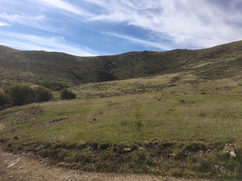 368 Kangaroo Mount Road, Coolac NSW 2727