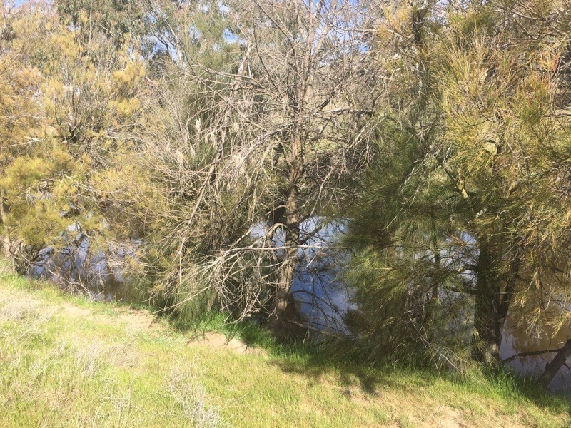 368 Kangaroo Mount Road, Coolac NSW 2727