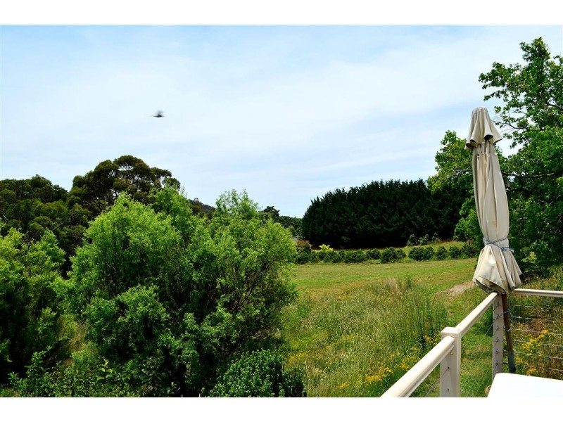 56 Mines Road, Batlow NSW 2730