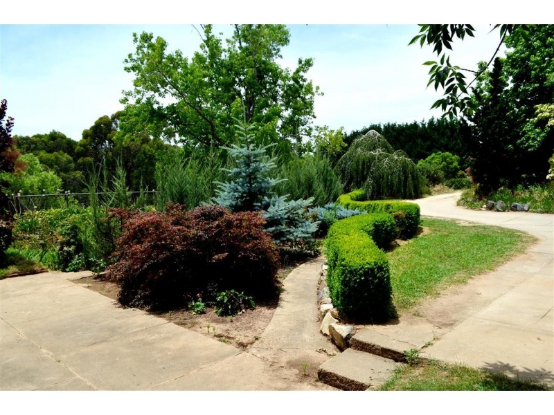 56 Mines Road, Batlow NSW 2730