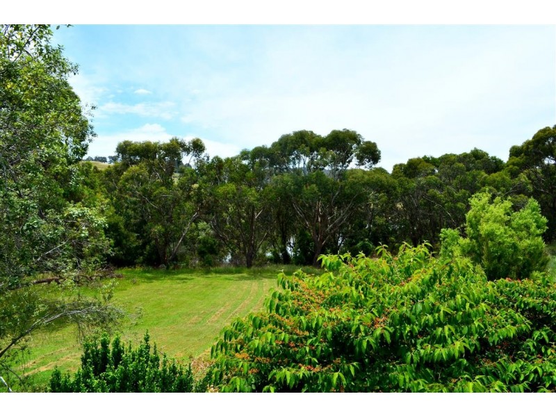 56 Mines Road, Batlow NSW 2730