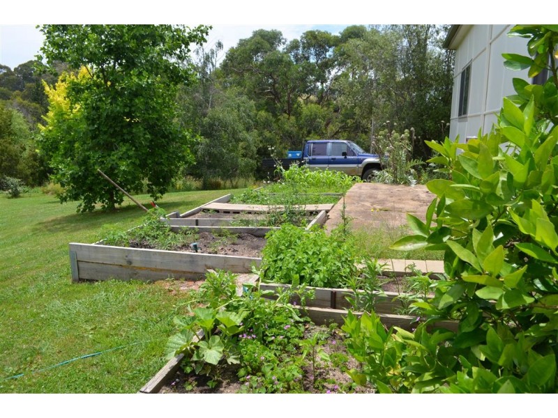 56 Mines Road, Batlow NSW 2730