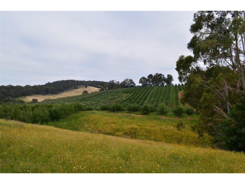 00 ‘Muttaroo’ Mines Road, Batlow NSW 2730