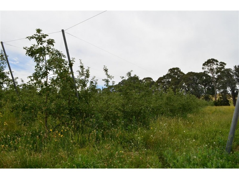00 ‘Muttaroo’ Mines Road, Batlow NSW 2730