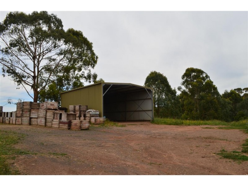 00 ‘Muttaroo’ Mines Road, Batlow NSW 2730