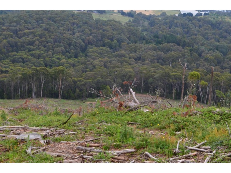 00 ‘Muttaroo’ Mines Road, Batlow NSW 2730