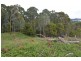 00 ‘Muttaroo’ Mines Road, Batlow NSW 2730