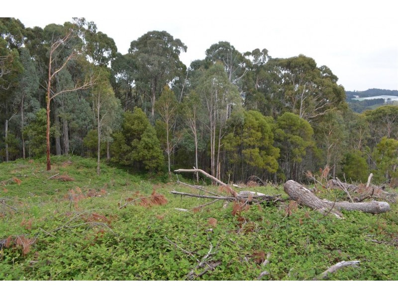 00 ‘Muttaroo’ Mines Road, Batlow NSW 2730