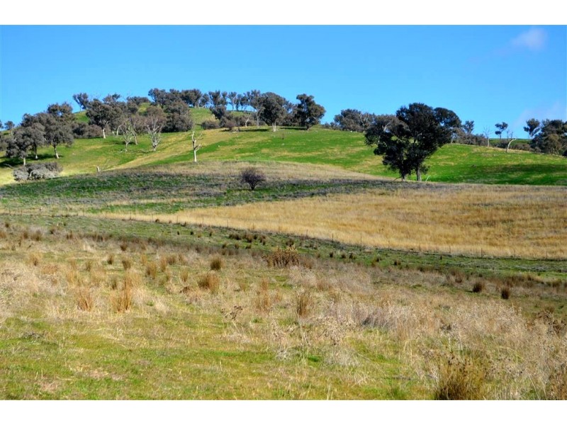 ‘Tanyard Creek’ Stantons Road, Adelong NSW 2729