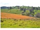 ‘Tanyard Creek’ Stantons Road, Adelong NSW 2729