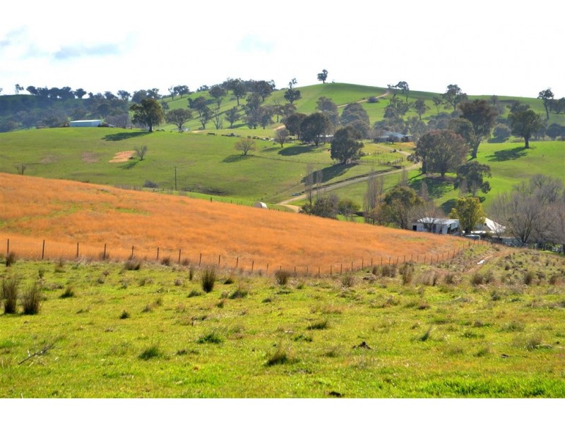‘Tanyard Creek’ Stantons Road, Adelong NSW 2729