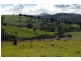 ‘Tanyard Creek’ Stantons Road, Adelong NSW 2729