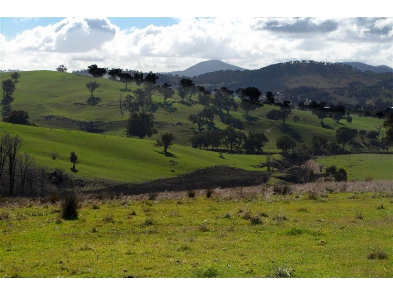 ‘Tanyard Creek’ Stantons Road, Adelong NSW 2729