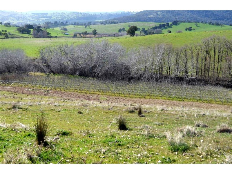 ‘Tanyard Creek’ Stantons Road, Adelong NSW 2729