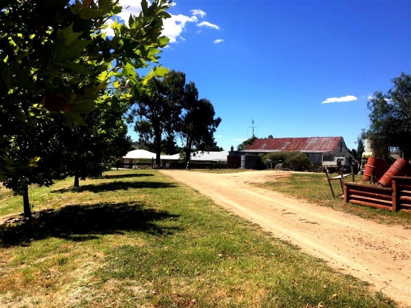 192 Wondalga Road, Adelong NSW 2729