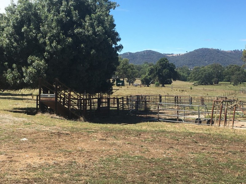Wannawong 530 Lacmalac Road, Tumut NSW 2720