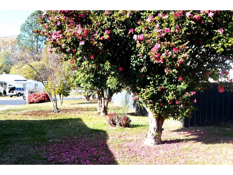 16 Tumbarumba Road, Batlow NSW 2730