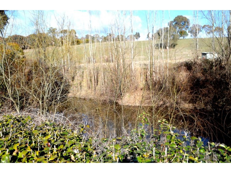 49 Cromwell Street, Adelong NSW 2729