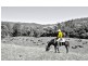 Lot 32 Jeffery Circuit, Tumut NSW 2720