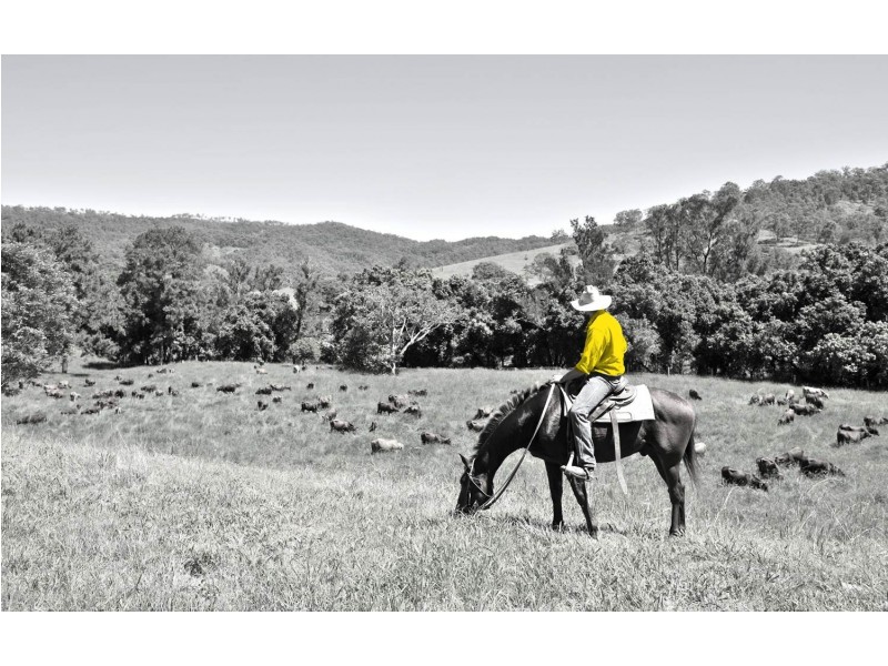 Lot 32 Jeffery Circuit, Tumut NSW 2720