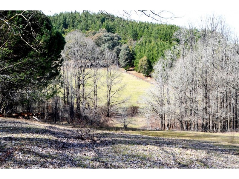 1345 Argalong Road, Tumut NSW 2720