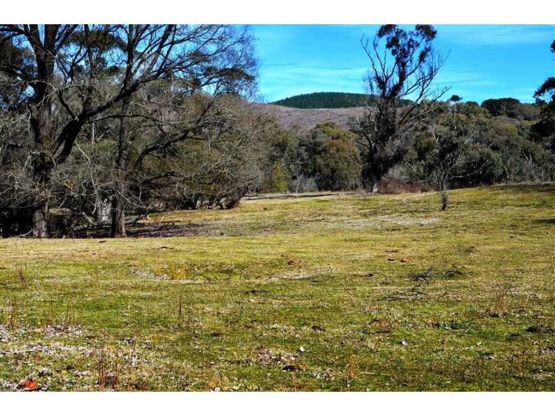 1345 Argalong Road, Tumut NSW 2720